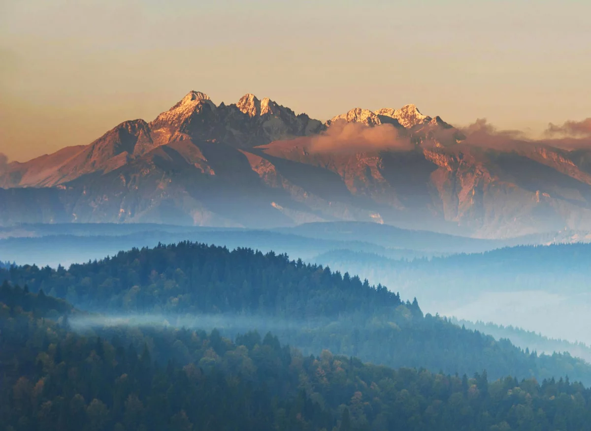 Jak być fit Natychmiastowo?