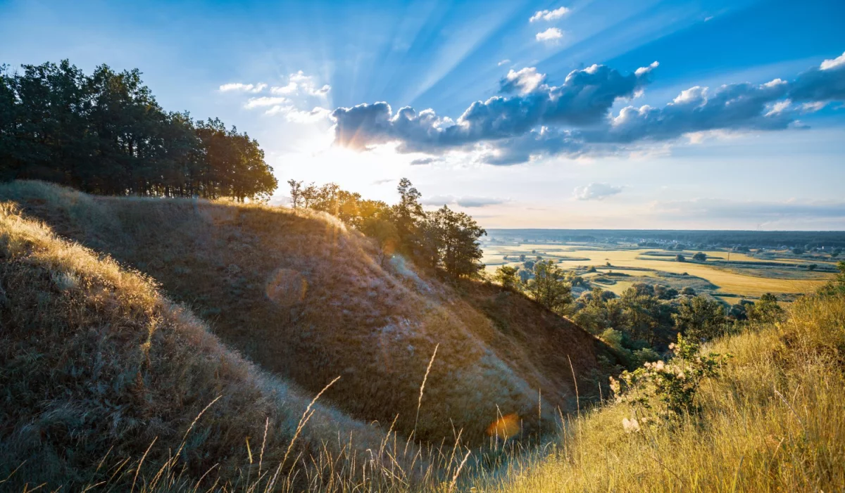 Czy można wyposażyć dom w sobotę?
