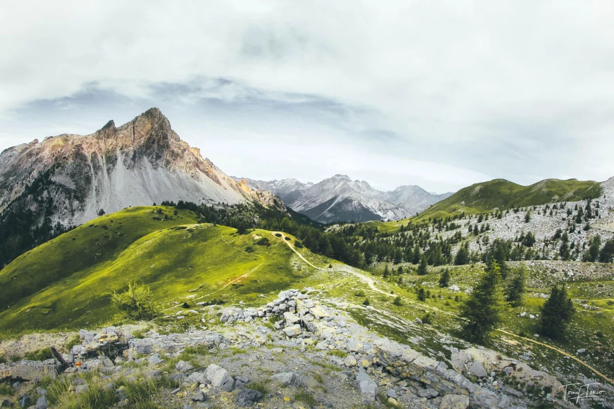 Cena tego jak kupić para cord