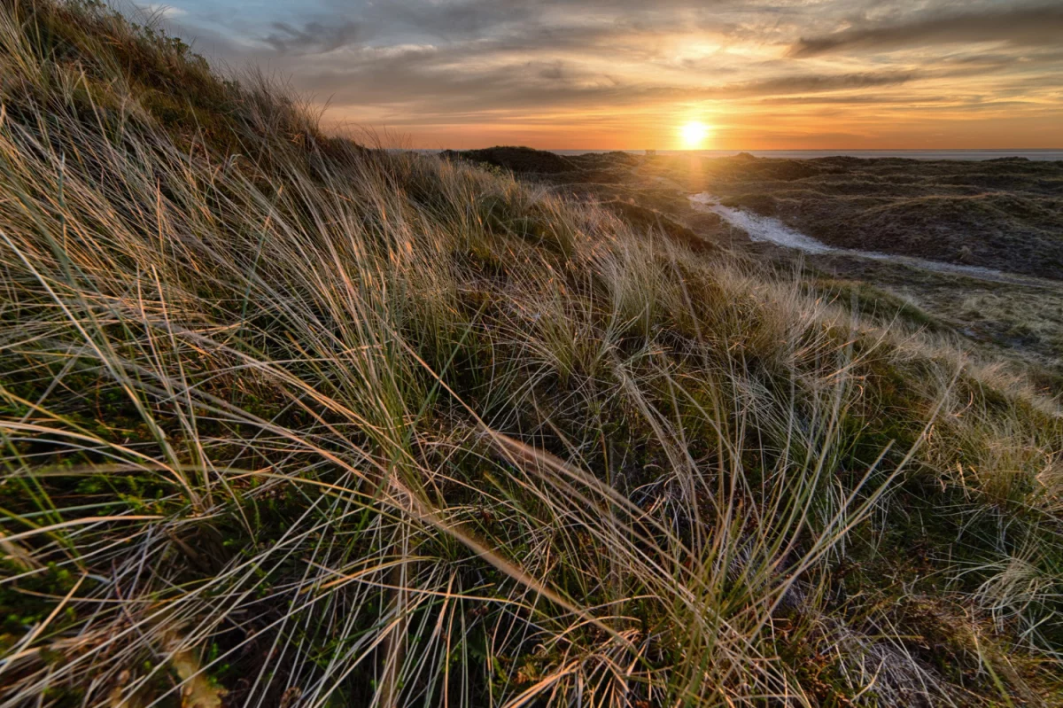 2023 jest dobry aby  dbać o zdrowie i urodę
