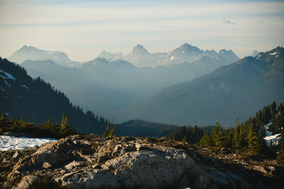 Ciekawe kto może kupić para cord?