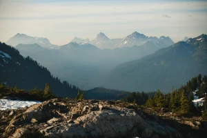 BDO Litwa: jak polskie firmy eksportujące odpady i opakowania zgłaszają się do litewskiego systemu — kroki, terminy i typowe błędy